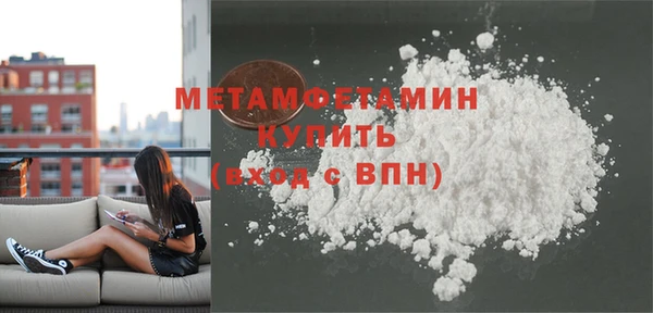 индика Дмитровск