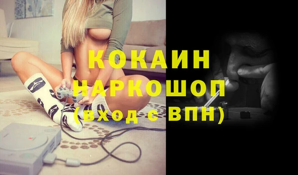 индика Дмитровск