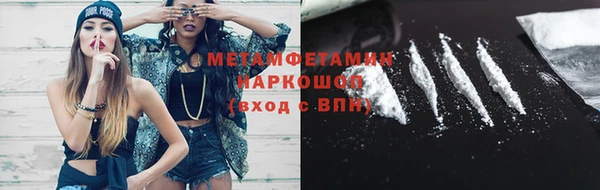 индика Дмитровск