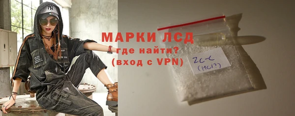 индика Дмитровск