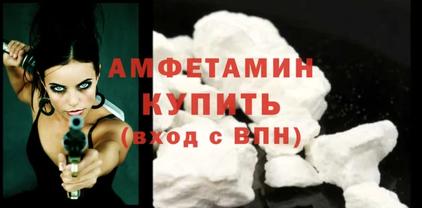 индика Дмитровск