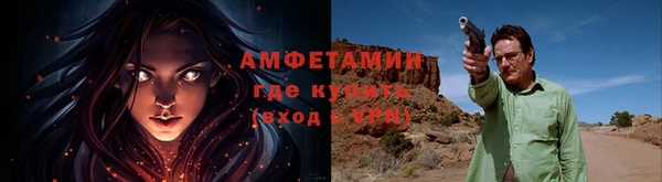 ПСИЛОЦИБИНОВЫЕ ГРИБЫ Дмитров