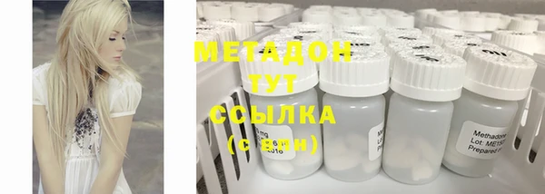 индика Дмитровск