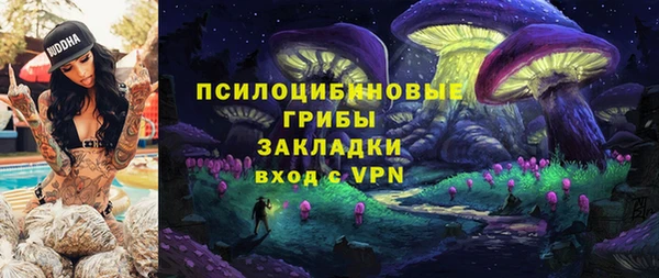 индика Дмитровск