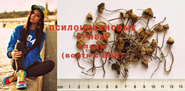 индика Дмитровск
