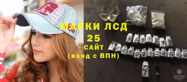 индика Дмитровск