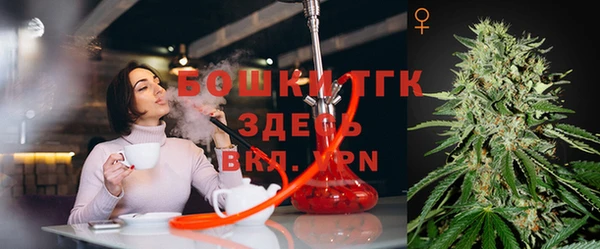 ПСИЛОЦИБИНОВЫЕ ГРИБЫ Дмитров