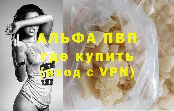 индика Дмитровск