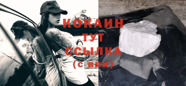 индика Дмитровск